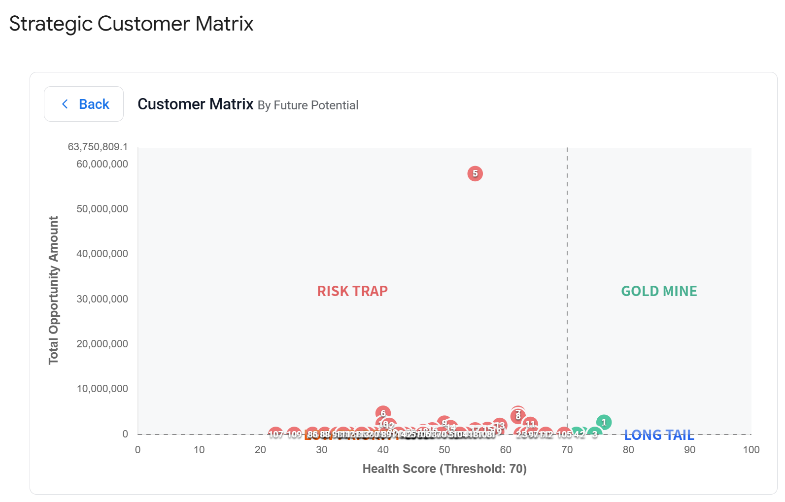 Customer Matrix by Future Potential